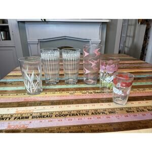 Vintage Floral Drinking Glass Lot of 6 Vintage Retro 60s MCM Tumblers Flowers